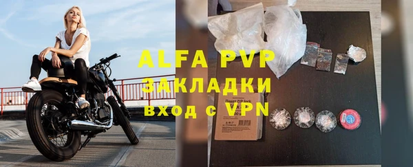 трава Осинники