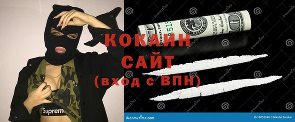 трава Осинники