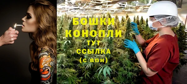 ешки Новодвинск