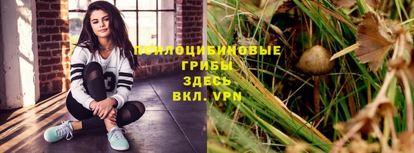 стаф Нягань