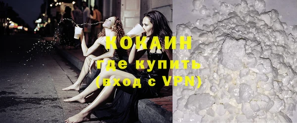 трава Осинники