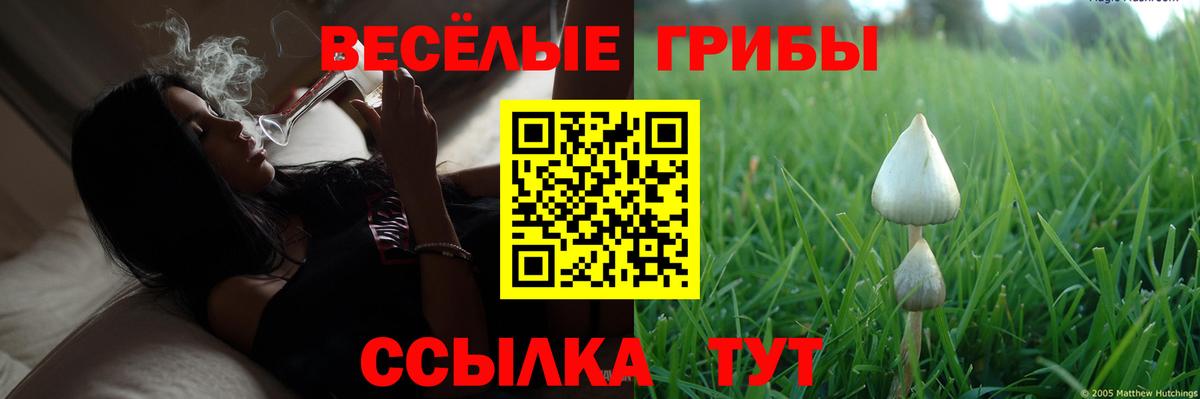 Галлюциногенные грибы ЛСД  Галлюциногенные грибы Cubensis  Заволжье  Вход с VPN 