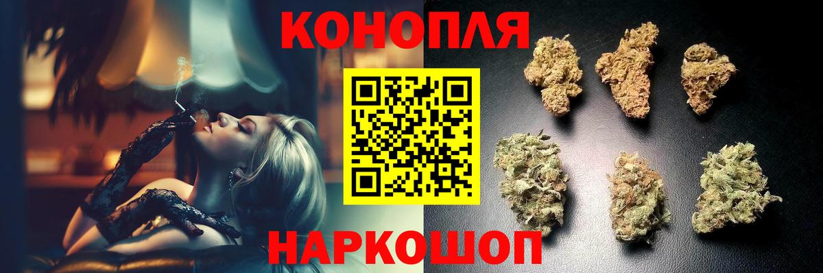 Канабис сатива  Канабис марихуана  Марихуана OG Kush  Конопля гибрид  Заволжье 